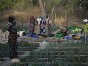 Mujeres guinenses trabajando en la huertas que Aprodel apoya./ Aua Keita
